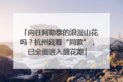向往阿勒泰的浪漫山花吗？杭州藏着“同款”，已全面进入盛花期