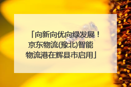 向新向优向绿发展！京东物流(豫北)智能物流港在辉县市启用