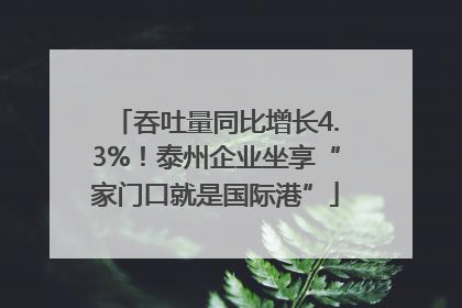 吞吐量同比增长4.3%！泰州企业坐享“家门口就是国际港”