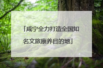 咸宁全力打造全国知名文旅康养目的地