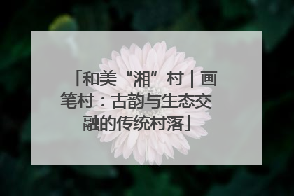 和美“湘”村｜画笔村：古韵与生态交融的传统村落