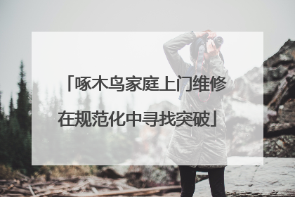 啄木鸟家庭上门维修在规范化中寻找突破