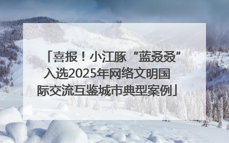 喜报！小江豚“蓝叒叒”入选2025年网络文明国际交流互鉴城市典型案例