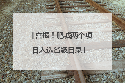 喜报！肥城两个项目入选省级目录