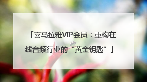 喜马拉雅VIP会员：重构在线音频行业的“黄金钥匙”
