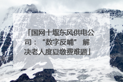 国网十堰东风供电公司：“数字反哺” 解决老人度夏缴费难题