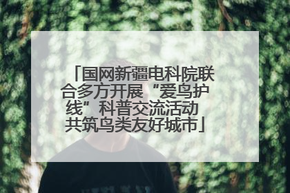 国网新疆电科院联合多方开展“爱鸟护线”科普交流活动 共筑鸟类友好城市