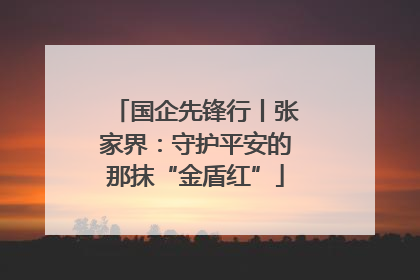国企先锋行丨张家界：守护平安的那抹“金盾红”