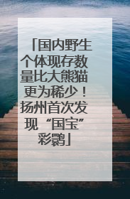 国内野生个体现存数量比大熊猫更为稀少！扬州首次发现“国宝”彩鹮