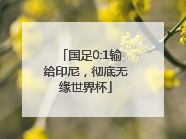 国足0:1输给印尼，彻底无缘世界杯