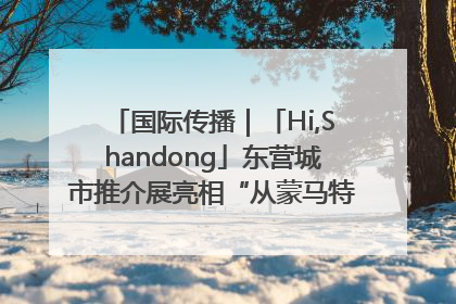 国际传播｜「Hi,Shandong」东营城市推介展亮相“从蒙马特到加里波第”文化节