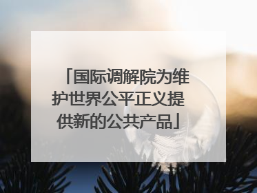 国际调解院为维护世界公平正义提供新的公共产品