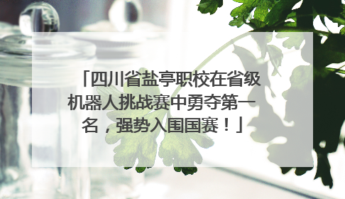 四川省盐亭职校在省级机器人挑战赛中勇夺第一名，强势入围国赛！