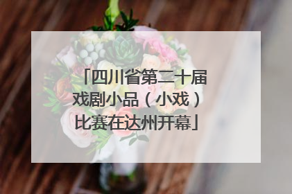 四川省第二十届戏剧小品（小戏）比赛在达州开幕