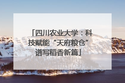 四川农业大学：科技赋能“天府粮仓”谱写稻香新篇