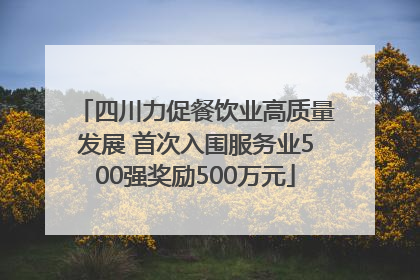 四川力促餐饮业高质量发展 首次入围服务业500强奖励500万元