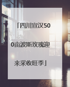 四川宣汉500亩波斯玫瑰迎来采收旺季