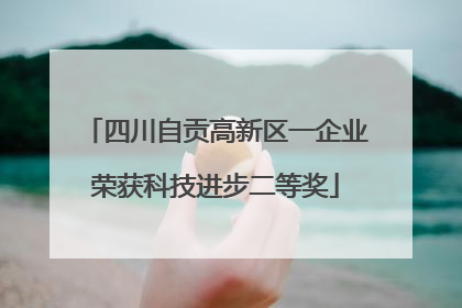 四川自贡高新区一企业荣获科技进步二等奖