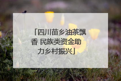 四川苗乡油茶飘香 民族类资金助力乡村振兴