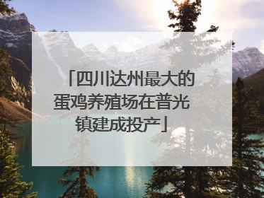 四川达州最大的蛋鸡养殖场在普光镇建成投产