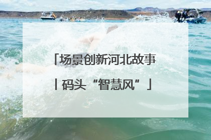场景创新河北故事丨码头“智慧风”