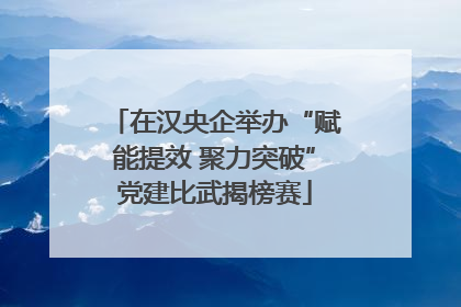 在汉央企举办“赋能提效 聚力突破”党建比武揭榜赛