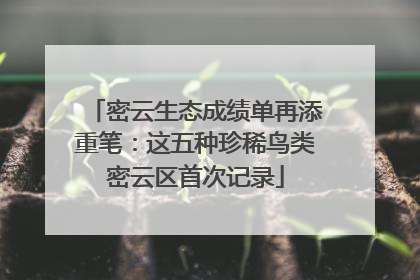 密云生态成绩单再添重笔：这五种珍稀鸟类密云区首次记录
