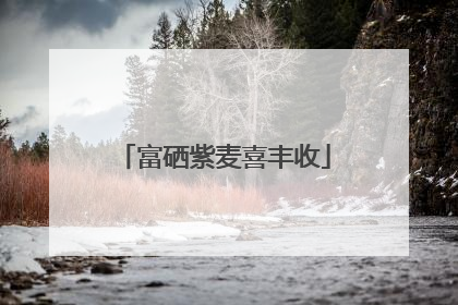富硒紫麦喜丰收