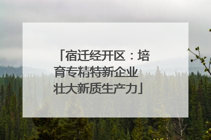 宿迁经开区：培育专精特新企业 壮大新质生产力