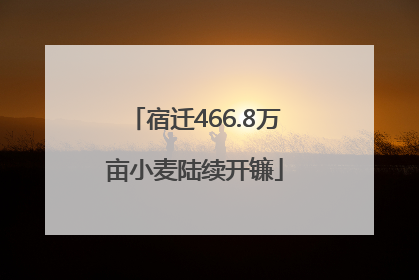 宿迁466.8万亩小麦陆续开镰