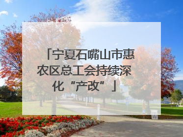 宁夏石嘴山市惠农区总工会持续深化“产改”