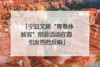 宁夏文旅“青春体验官”招募活动在蓉引发热烈反响