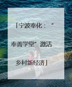宁波奉化：“奉菁学堂”激活乡村新经济