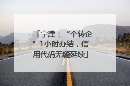 宁津：“个转企”1小时办结，信用代码无缝延续