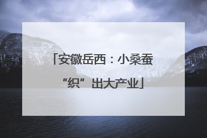 安徽岳西：小桑蚕“织”出大产业