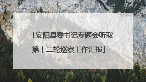 安阳县委书记专题会听取第十二轮巡察工作汇报