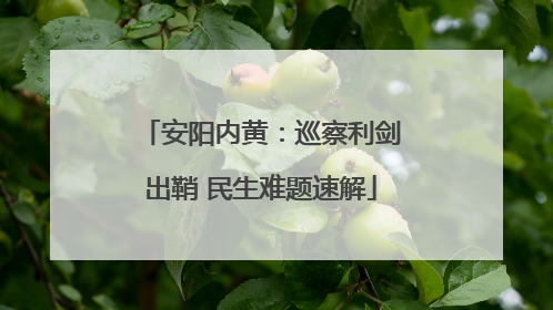 安阳内黄：巡察利剑出鞘 民生难题速解