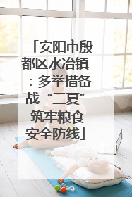 安阳市殷都区水冶镇：多举措备战“三夏” 筑牢粮食安全防线