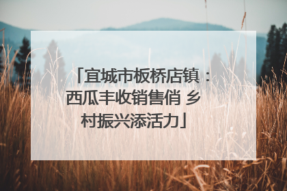 宜城市板桥店镇：西瓜丰收销售俏 乡村振兴添活力