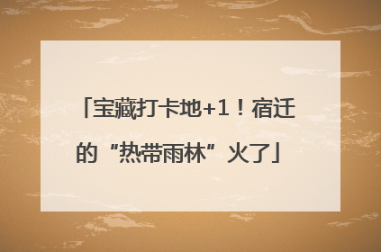 宝藏打卡地+1！宿迁的“热带雨林”火了