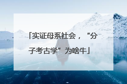 实证母系社会，“分子考古学”为啥牛