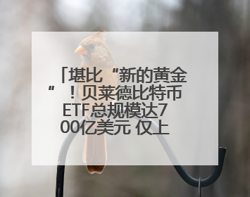 堪比“新的黄金”！贝莱德比特币ETF总规模达700亿美元 仅上市一年多