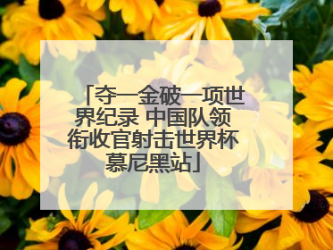 夺一金破一项世界纪录 中国队领衔收官射击世界杯慕尼黑站
