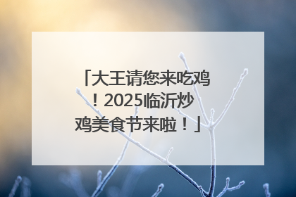大王请您来吃鸡！2025临沂炒鸡美食节来啦！