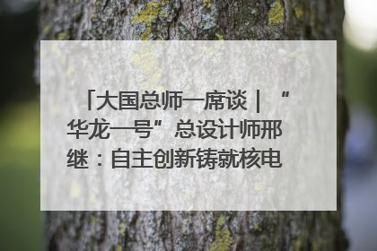 大国总师一席谈｜“华龙一号”总设计师邢继：自主创新铸就核电“国家名片”