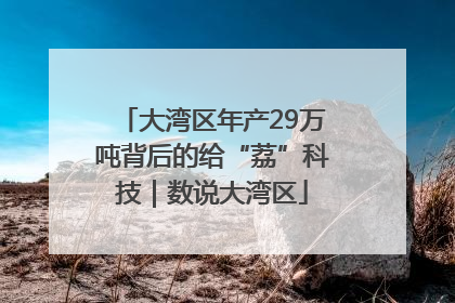 大湾区年产29万吨背后的给“荔”科技｜数说大湾区