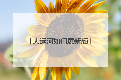 大运河如何展新颜