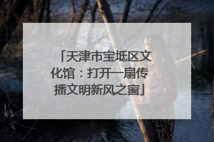 天津市宝坻区文化馆：打开一扇传播文明新风之窗