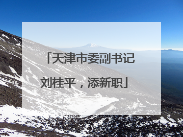 天津市委副书记刘桂平，添新职