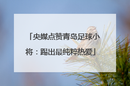 央媒点赞青岛足球小将：踢出最纯粹热爱